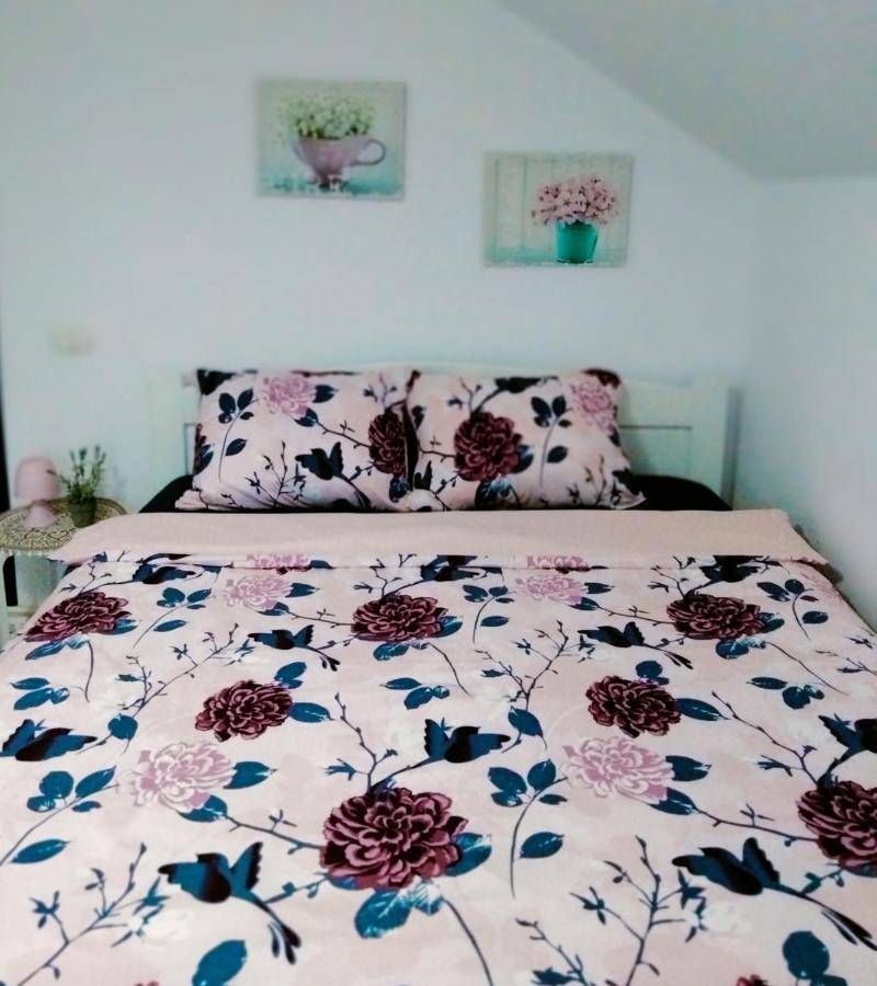 Roxana Villa *