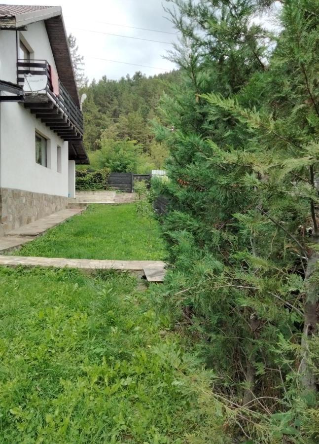 Casa Roxana Pangarati